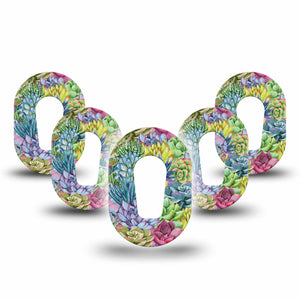 Blue Succulents Dexcom G6 Mini Tape, 5- Pack, Vibrant-colored Florals Inspired, CGM Fixing Ring Design