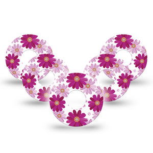 Brilliant Daisies Libre 3 Tape, 5-Pack, Mauve Daisy Print Themed, CGM Fixing Ring Patch Design